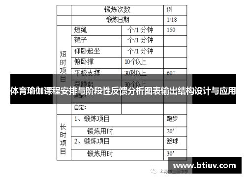 体育瑜伽课程安排与阶段性反馈分析图表输出结构设计与应用
